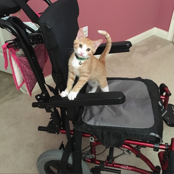 Meet your Posher, Kelly - Picture 5 of 8